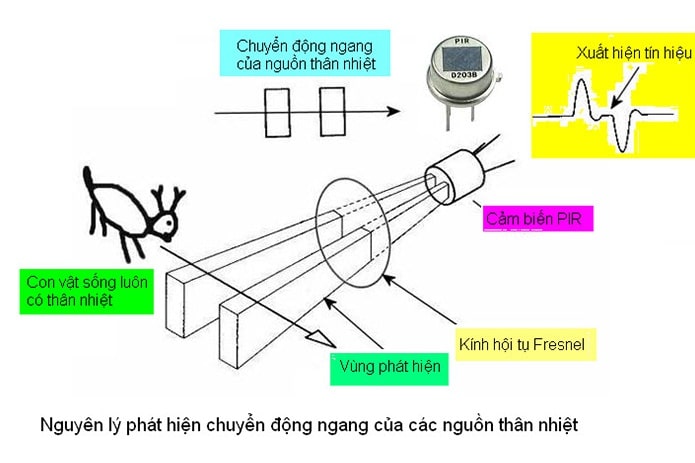 Cảm biến hồng ngoại (IR Sensor): cấu tạo và nguyên lý hoạt động