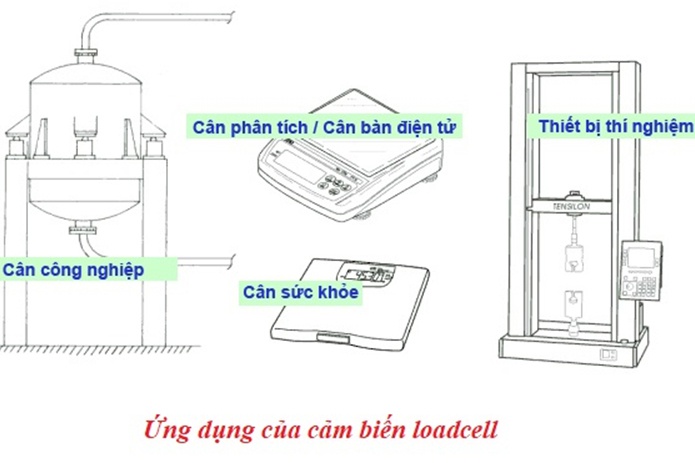 Tế bào tải là gì? Cấu tạo & nguyên lý hoạt động (2023)