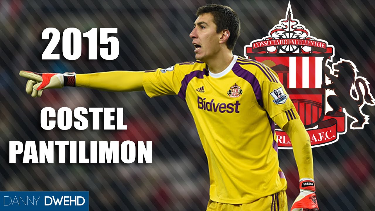 Costel Pantilimon 2015 | Best Saves | Sunderland - HD